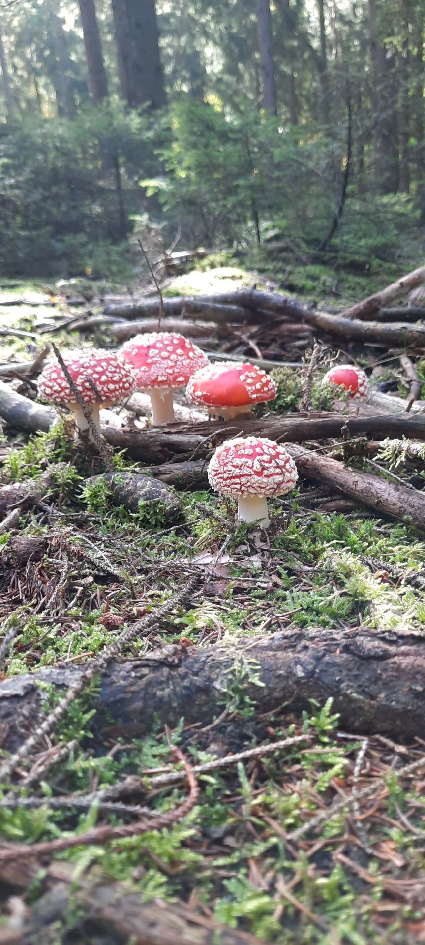 20221010_113736.jpg
