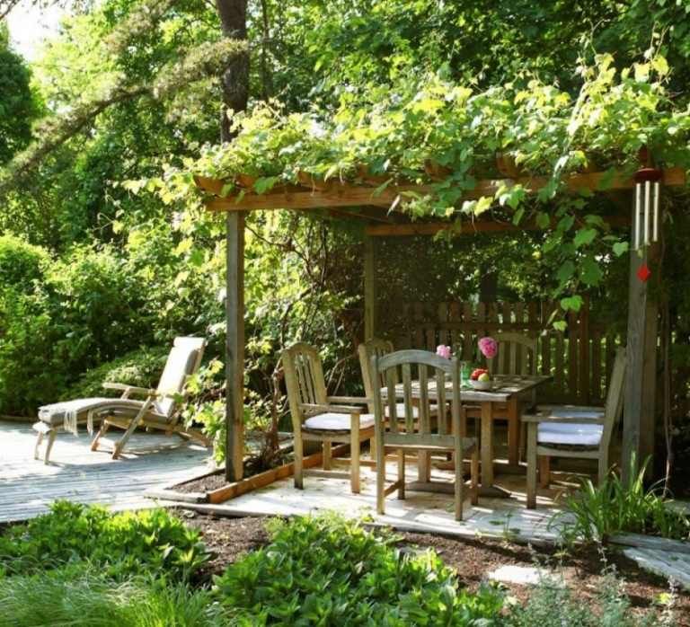 Pergola-bepflanzen-Weintraube-Sonnenschutz-768x698.jpg