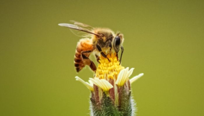 Sehen-Riechen-Schmecken, Natur zum Anfassen